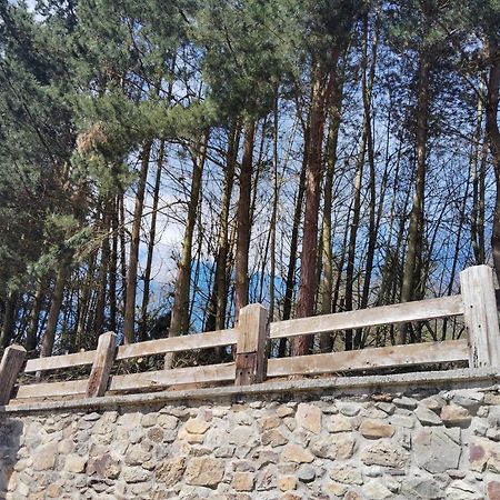 Hotel El Nuevo Semellon Aceptamos Mascotas Tineo Luaran gambar