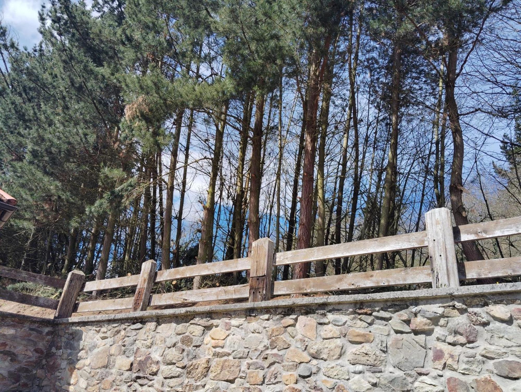 Hotel El Nuevo Semellon Aceptamos Mascotas Tineo Luaran gambar